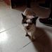 Ernesto Juarez Guerrero - Facebook