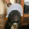 ernestojuarez_ - @ernestojuarez_ - TikTok