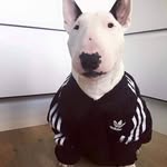 Ernesto Leos - @ernesto.leos.33 - Instagram