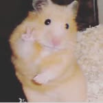 Ernesto Leos - @ernesto21082 - Instagram