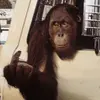 Ernesto Lima - @ernestolima01 - TikTok