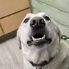 ERNESTO MACHUCA - @ernestomachuca2 - TikTok