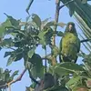 ernestomachuca845 - @ernestomachuca845 - TikTok