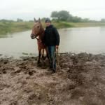 Ernesto Maciel - @ernestomaciel33 - Instagram