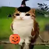 🌚 Ernesto 🌚 - @ernesto.mares52 - TikTok