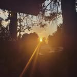 Ernesto Marin - @ernesto._marin - Instagram