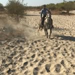 Ernesto Mariscal - @ernesto.mariscal.12 - Instagram