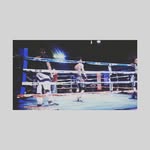 Ernesto Meneses - @menesesernesto - Instagram