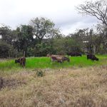 Ernesto Moncada - @ernestomoncada667 - Instagram