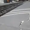 Ernesto Osorio - @ernesto.osorio - TikTok