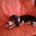 Ernesto Paz - @ernesto.paz.144181 - Instagram