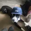 Ernesto Paz - @ernesto.paz19 - TikTok