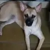 ernestopelaez155 - @ernestopelaez155 - TikTok