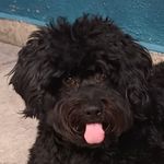 Jose Ernesto rábago ponce - @joseernestorabago - Instagram