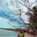 Ernesto Ramilo Tolentino - @ramilotolentino - Instagram