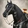Ernesto Renderos - @ernestorenderos26 - TikTok