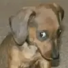 Ernesto Renderos - @ernestorenderos4 - TikTok