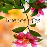 Ernesto Ribera - @ernesto_ribera - Instagram