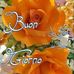 Ernesto Ripari - Facebook