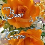 Ernesto Ripari - @ernestoripari - Instagram