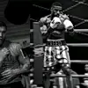 🥊𝕰𝖗𝖓𝖊𝖘𝖙𝖔 🥊 - @ernestosolorio429 - TikTok