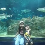 Ernesto Tadeo - @ernesto53376 - Instagram