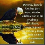 Ernesto Tello - @ernestotello - Instagram