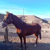 Ernesto tello - @user1167038041651 - TikTok
