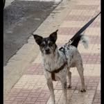 Ernesto Tello - @ernestotello57 - Instagram