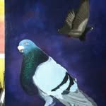Ernesto Tello Salazar - @ernestotellosalazar - Instagram
