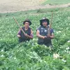 ernestotello80 - @ernestotello80 - TikTok
