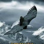 Ernesto Thomas - Facebook