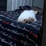 Ernesto ulloa - @ernestoulloa3 - Instagram