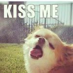 Ernesto Ulloa - @ernesto.u - Instagram