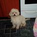Ernesto Velez - Facebook