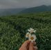 Erni Ars - Facebook