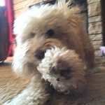 Ernie I (un)follow Back - @ernie_is_awesome - Instagram
