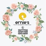 Ernie's Photo Backdrops - @ernies_photo_backdrops - Instagram