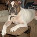 Lets Get Ernie Back Home - Facebook
