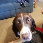 Ernie Baker - @ernest_t_bass12.8.2018 - Instagram
