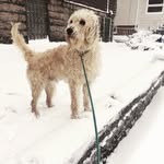 Ernie Bernie Barriere - @erniebarriere - Instagram