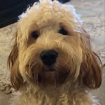 @ernie_beamish_ - Instagram