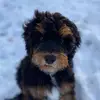 ernieissocute🥺🥺🥵🥵🥵🥵 - @ernie_bennett - TikTok