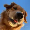 ernie.burps - @ernie.burps - TikTok