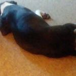 Ernest Brewer - @ernest.brewer.167 - Instagram