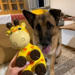 Ernie Brewer - @erniebrewer79 - Instagram
