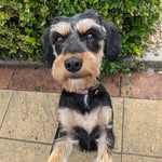 Ernie Bright - @kingerniesch - Instagram