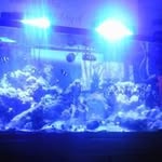 Ernie Bright - @erniebright - Instagram
