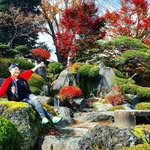 @erniebrightwin - Instagram