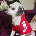 Ernie B. Brooks - @ernie_burger_babe - Instagram